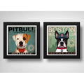 Set 2 Cuadros Perro Cafe Pitbull Boston Terrier Pet Decor