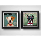 Set 2 Cuadros Perro Cafe Pitbull Boston Terrier Pet Decor