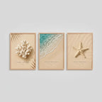 Set 3 Cuadros Paisajes De Playa Concha Estrella Coral Frases Marco Marrón Claro