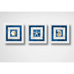 Set 3 Cuadros Conchas Estrella Mar Playa Decoración Nautico