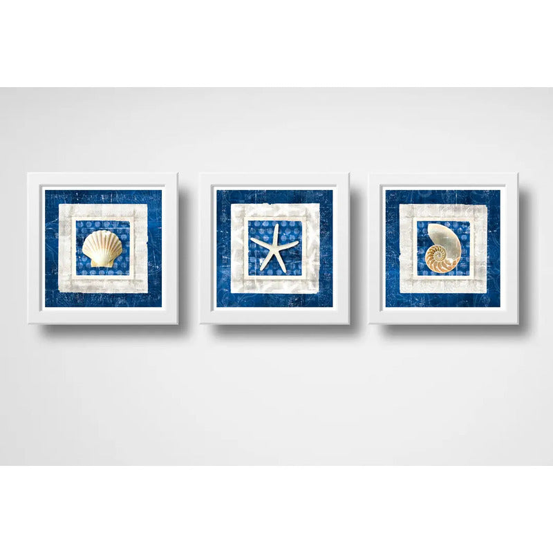 Set 3 Cuadros Conchas Estrella Mar Playa Decoración Nautico