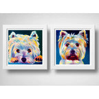 Set 2 Cuadros Perro Pop Art West Highland Mascotas Pet Arte