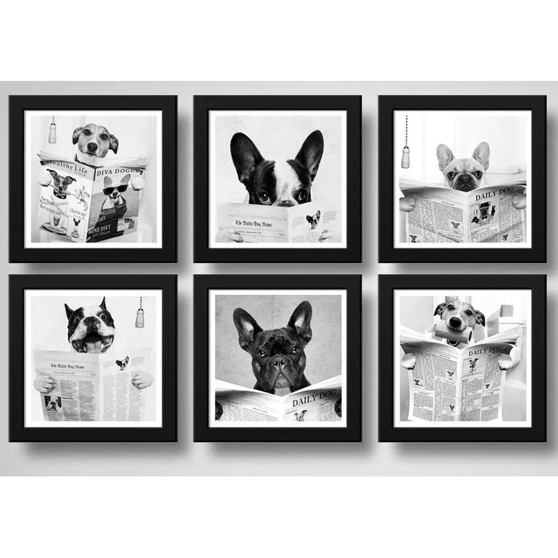 Set 6 Cuadros Perro Baño Decoracion Mascota Pet Veterinaria