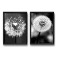 Set 2 Cuadros Diente De Leon Blanco Y Negro Taraxacum Flores