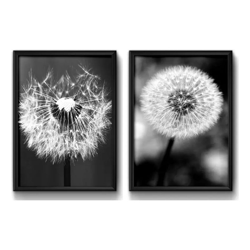 Set 2 Cuadros Diente De Leon Blanco Y Negro Taraxacum Flores