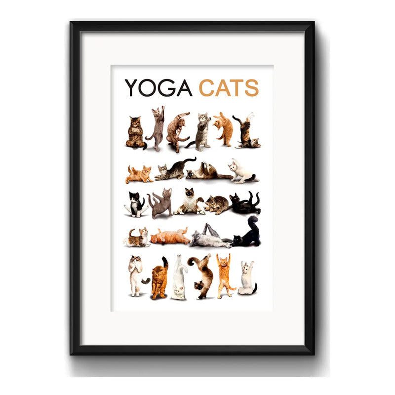Cuadro Yoga Cats Gato Gatito Razas Mascota Pet Con Paspartu Marco Negro
