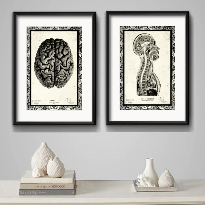 Set 2 Cuadros Anatomia Médico Cuerpo Humano Con Paspartu