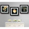 Set 3 Cuadros Hojas Doradas Oro Botanico Decoracion 33x33cm Marco Negro