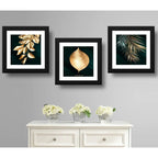 Set 3 Cuadros Hojas Doradas Oro Botanico Decoracion 33x33cm Marco Negro
