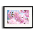 Cuadro Cerezo Sakura Flores Arte Japones Arbol Con Paspartú Cerezo Sakura 3 Con Marco Negro