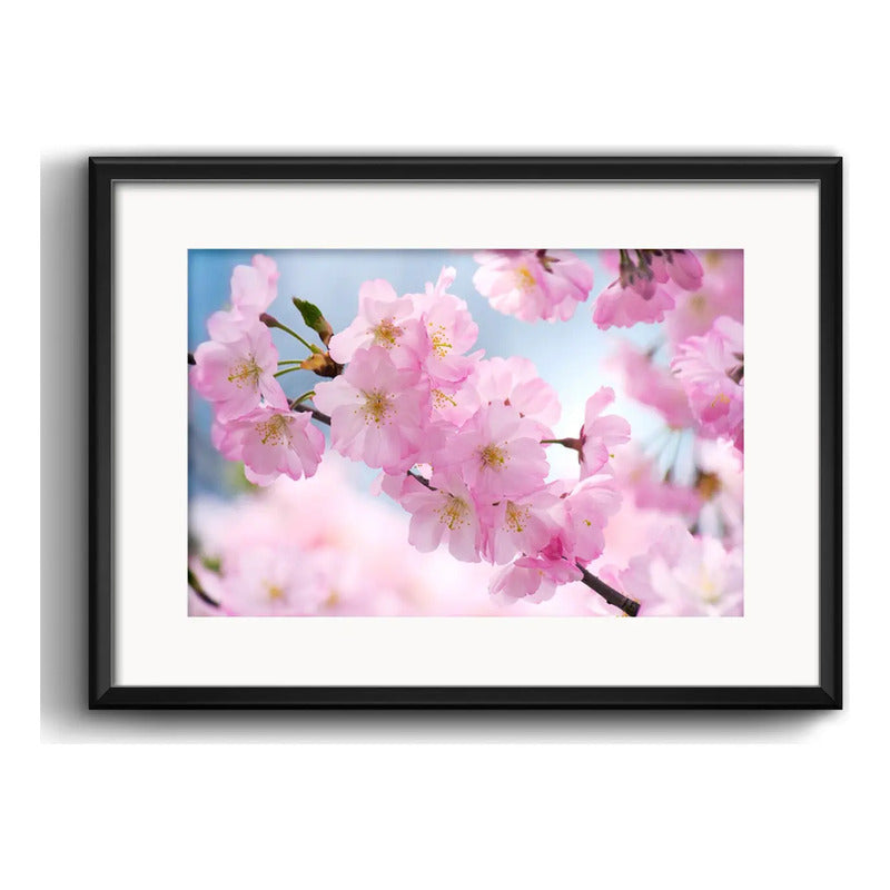 Cuadro Cerezo Sakura Flores Arte Japones Arbol Con Paspartú Cerezo Sakura 3 Con Marco Negro