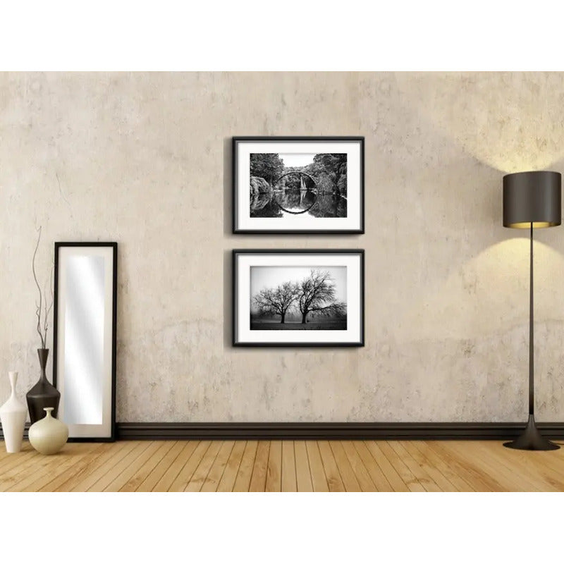 Set 2 Cuadros Paisajes Blanco Y Negro Arboles Deco Paspartu