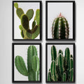 Set 4 Cuadros Cactus Suculentas Plantas Botanico Decoracion