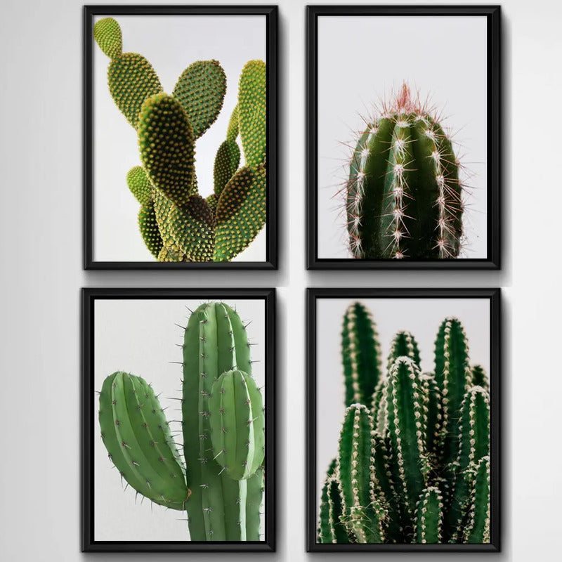 Set 4 Cuadros Cactus Suculentas Plantas Botanico Decoracion