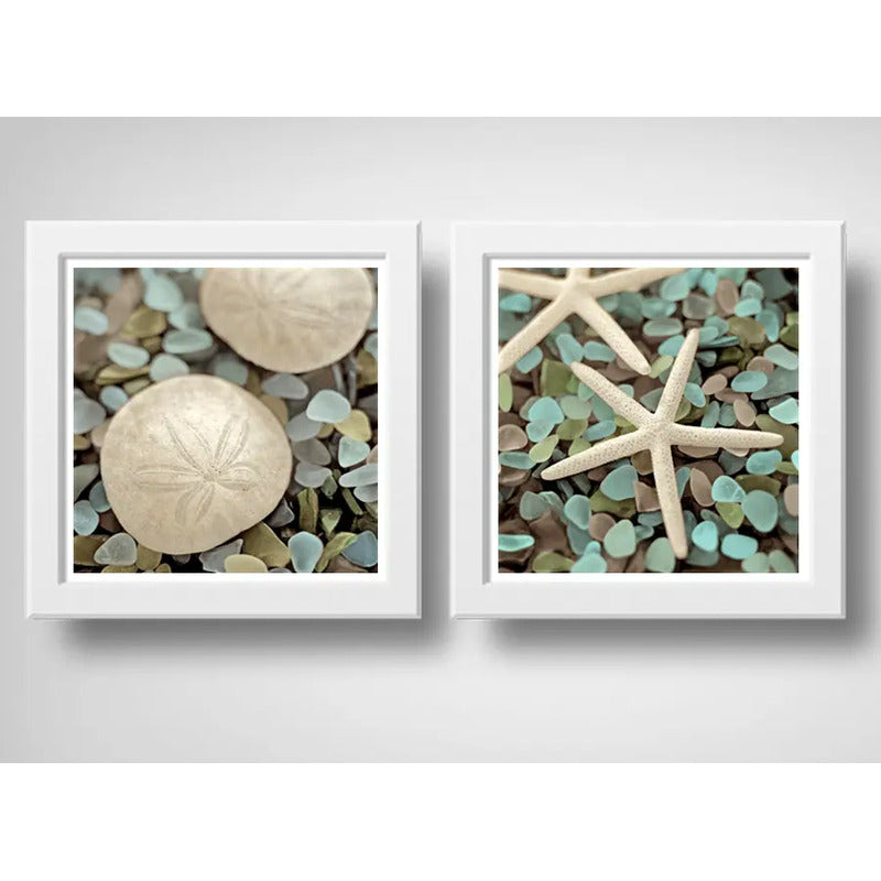 Set 2 Cuadros Conchas Estrellas Mar Playa Decoración Nautico