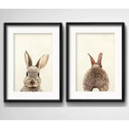 Set 2 Cuadros Conejo Pet Animal Arte Decoracion Con Paspartú