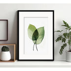 Cuadro Flores Hojas Plantas Botanica Decoracion Con Paspartú Hojas Verdes 1 Con Marco Negro