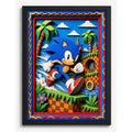 Cuadro Sonic The Hedgehog Efecto 3d Game Pelicula Marco Negro