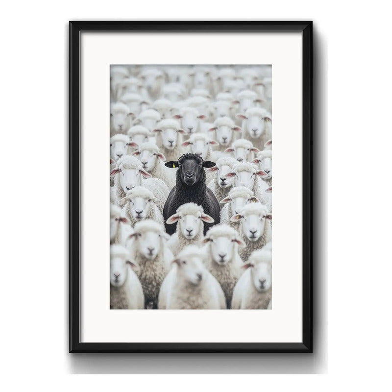 Cuadro Oveja Negra Black Sheep Rebaño 53x43cm Con Paspartú Marco Negro