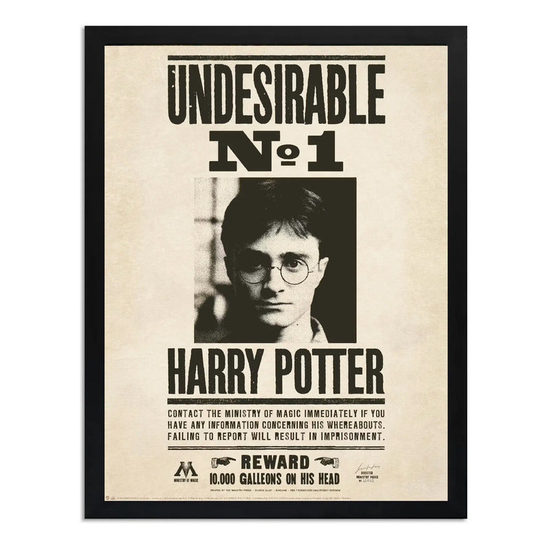 Cuadro Harry Potter Undesirable Indeseable N 1 Pelicula Arte Marco Negro