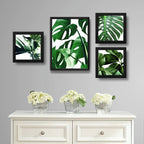 Set 4 Cuadros Hojas Plantas Monstera Botanico Br1 Decoracion