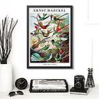 Cuadro Ernst Haeckel Biologia Zoologia Arte Lab Decoracion Trochilidae Picaflores Colibris Marco Negro