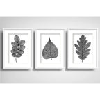 Set 3 Cuadros Hojas Minimalista Blanco Y Negro Arte Paspartú