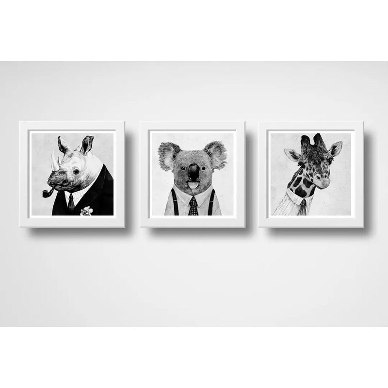 Set 3 Cuadros Rinoceronte Koala Jirafa Hispter Animales Arte