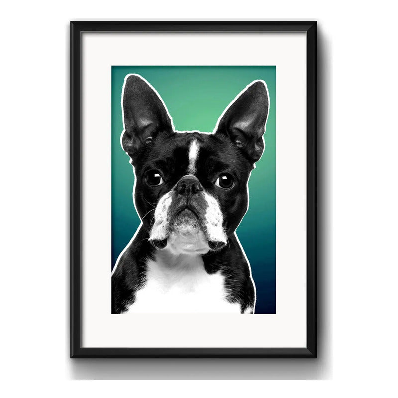 Cuadro Bulldog Frances Blanco Y Negro Verde Con Paspartu Marco Negro