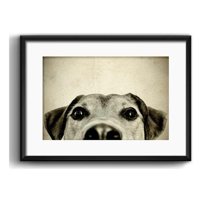 Cuadro Perro Mestizo Mascota Pet Decoracion Con Paspartú Marco Negro