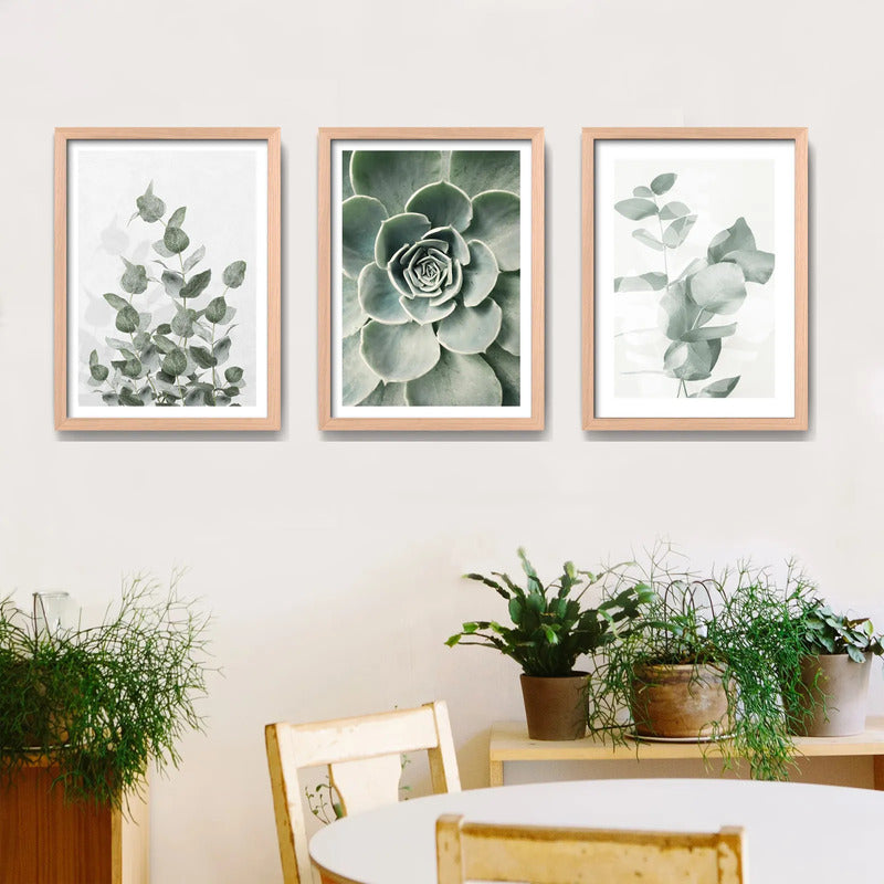 Set 3 Cuadros Naturaleza Verde Hojas Plantas Botanica Oak Marco Marrón Claro