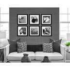 Set 6 Cuadros Agronegocios Soja Arroz Maíz Café Trigo 33x33 Marco Negro