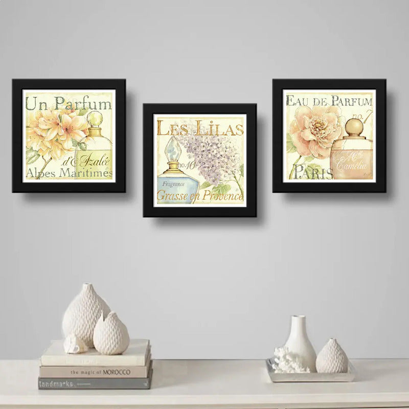 Set 3 Cuadros Flores Paris Perfume Baño Arte Decoracion