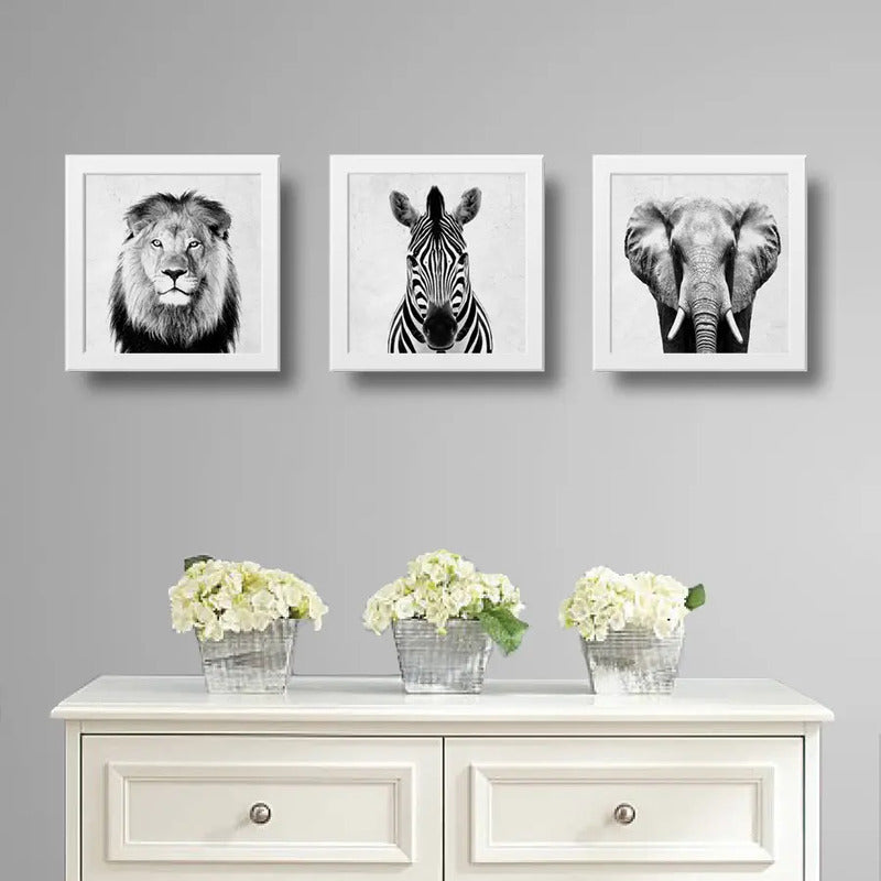 Set 3 Cuadros León Cebra Elefante Blanco Y Negro Decoracion