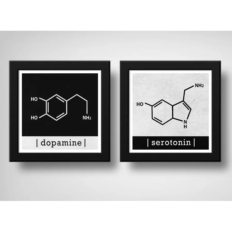 Set 2 Cuadros Formula Quimica Dopamina Serotonina Decoracion