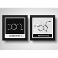 Set 2 Cuadros Formula Quimica Dopamina Serotonina Decoracion