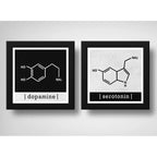 Set 2 Cuadros Formula Quimica Dopamina Serotonina Decoracion