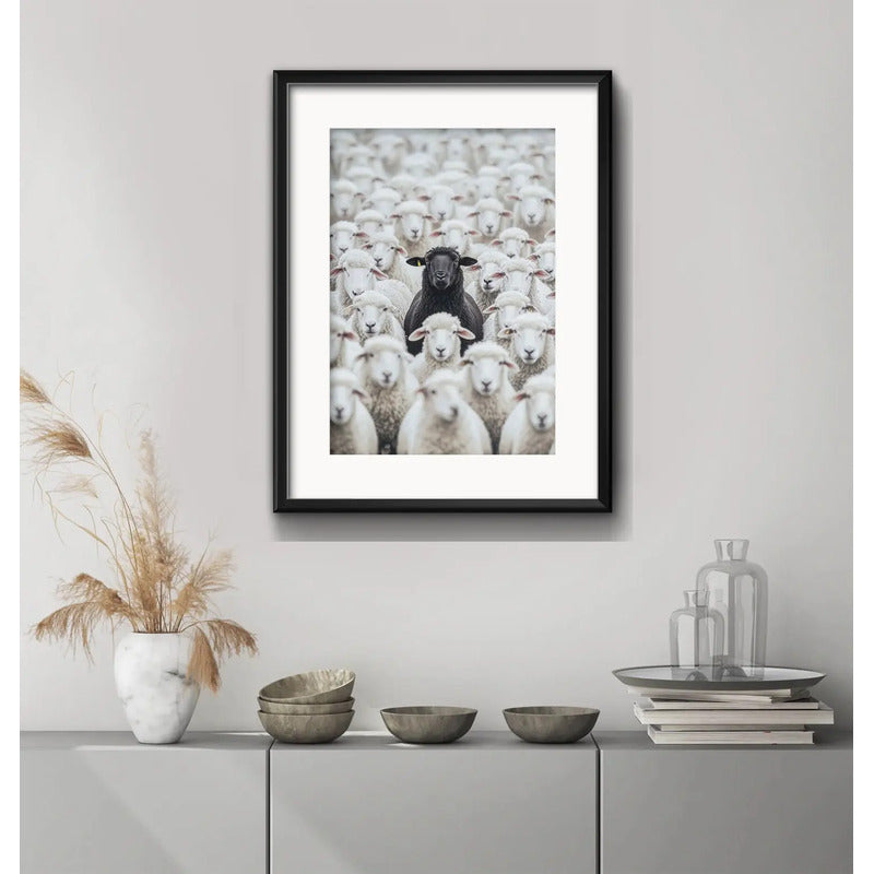 Cuadro Oveja Negra Black Sheep Rebaño 53x43cm Con Paspartú Marco Negro