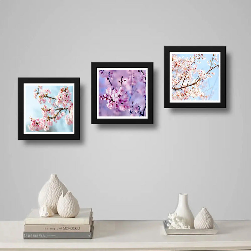 Set 3 Cuadros Sakura Flor Cerezo Japones Arte Decoracion