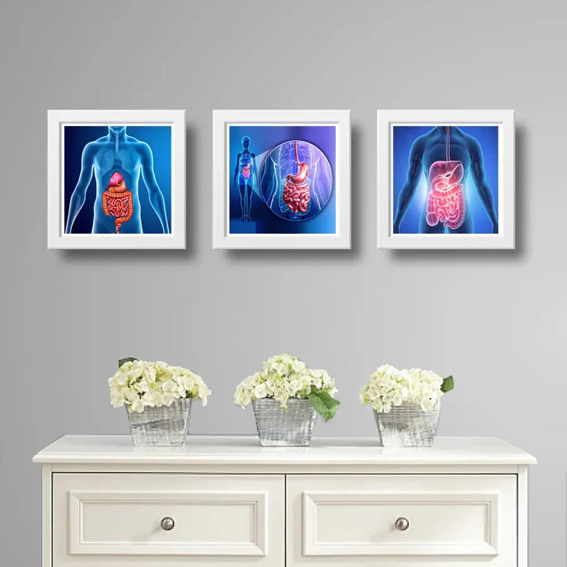 Set 3 Cuadros Gastroenterología Médico Cuerpo Humano Clinica