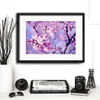 Cuadro Cerezo Sakura Flores Arte Japones Arbol Con Paspartú Cerezo Sakura 4 Con Marco Negro