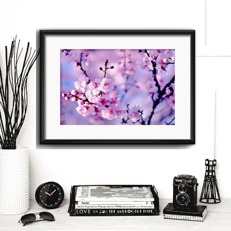 Cuadro Cerezo Sakura Flores Arte Japones Arbol Con Paspartú Cerezo Sakura 4 Con Marco Negro