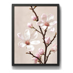 Cuadro Dormitorio Living Flores Rosa De Primavera Magnolia 3 Marco Negro