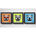 Set 3 Cuadros Perro Bulldog Pop Art Mascota Pet Decoracion