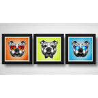 Set 3 Cuadros Perro Bulldog Pop Art Mascota Pet Decoracion