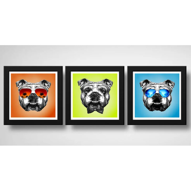 Set 3 Cuadros Perro Bulldog Pop Art Mascota Pet Decoracion