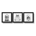 Set 3 Cuadros Gato Baño Blanco Y Negro Mascota Pet Decora