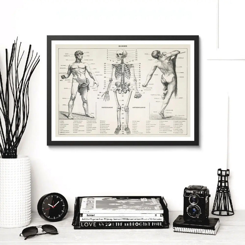 Cuadro Esqueleto Cuerpo Humano Médico Anatomia Clinica Marco Negro