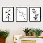 Set 3 Cuadros Living Ramas Botanica Minimalista Blanco Negro Marco Negro