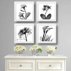 Set 4 Cuadros Flores Minimalista Floral Arte Blanco Y Negro